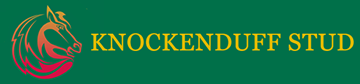 Knockenduff Stud